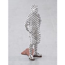 anonymous - human#22